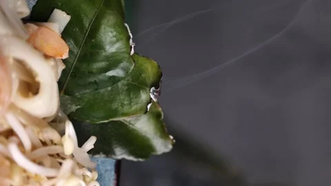 Vertical video lime leaves are smoking asia japan kitchen wok Stock Footage 176390499