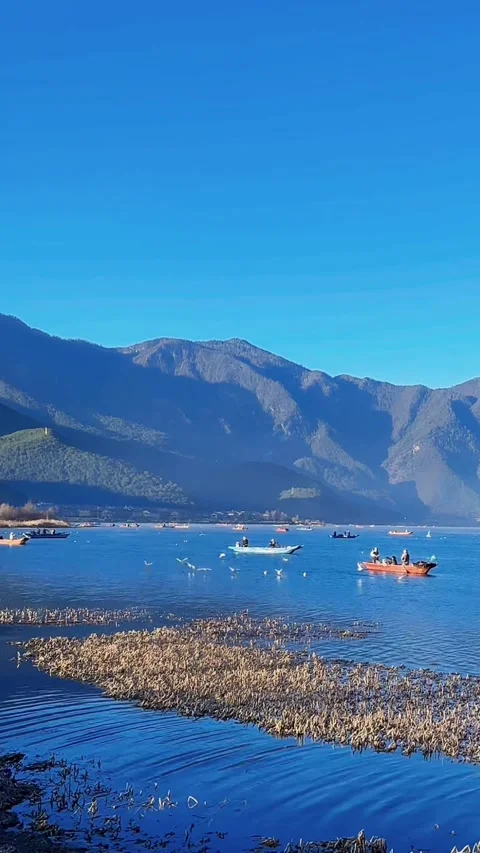 Vertical Video of Lone Boat on Deep Blue Lake with Rime Ice Trees, China Vídeos de archivo 328390184