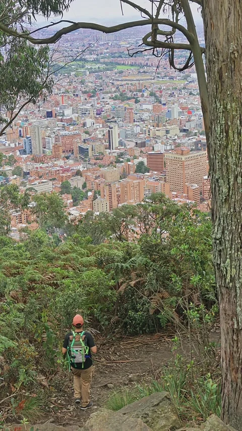 Vertical video of lone hiker with a backpack walks a shaded forest trail to.. Stock Footage 345082875