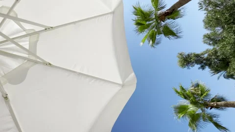 Vertical Video Looking Up from Under White Parasol at Palm Trees and Blue Sky Stock Footage 347925809