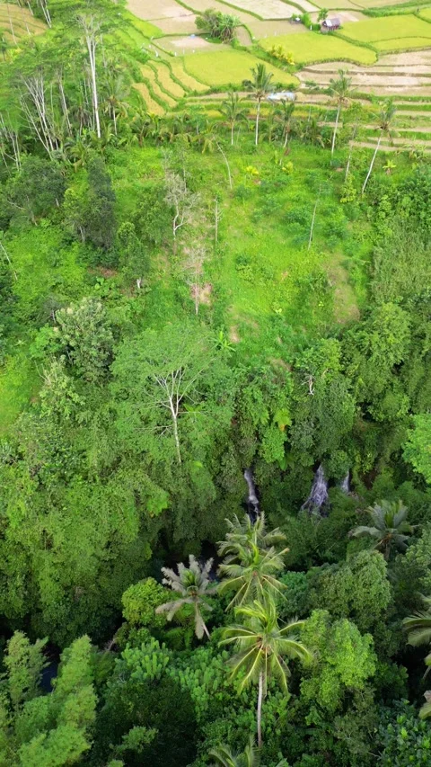 Vertical video looking to a waterfall drone 스톡 동영상 240187813