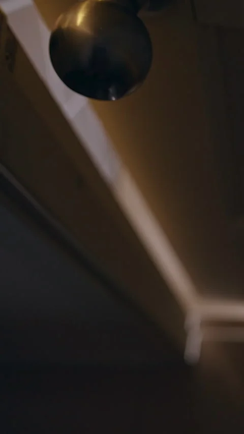 Vertical video. Low Angle View of Interior Door Closing Into Darkness After Brie Stock Footage 339189000
