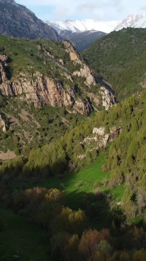 Vertical video: Lush Green Mountain Valley with Snow Peaks Reveal Stock Footage 332010407