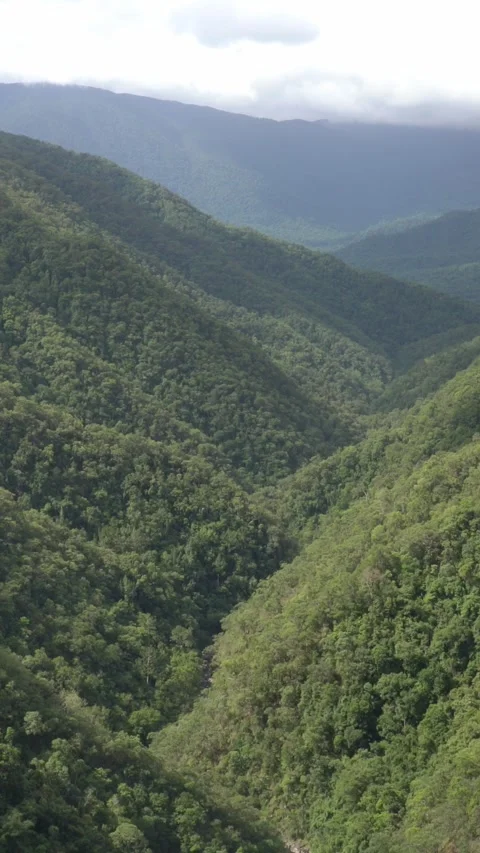 Vertical video of Lush green rainforest valley with mountains and clouds windin Stock Footage 332227966