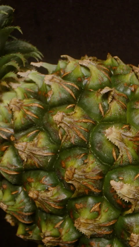 Vertical video. Macro Close-Up of Pineapple Skin With Dolly Zoom Effect Moving Stock Footage 311874699
