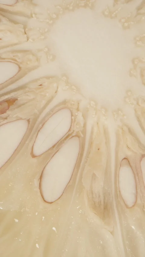 Vertical video. Macro Overhead View of Pomelo Cross-Section Showing Symmetrical Stock Footage 311027101