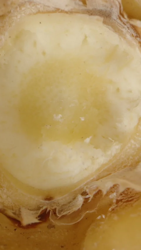 Vertical video. Macro Rotating View of Pineapple Core Showing Fibrous Yellow Stock Footage 310669932