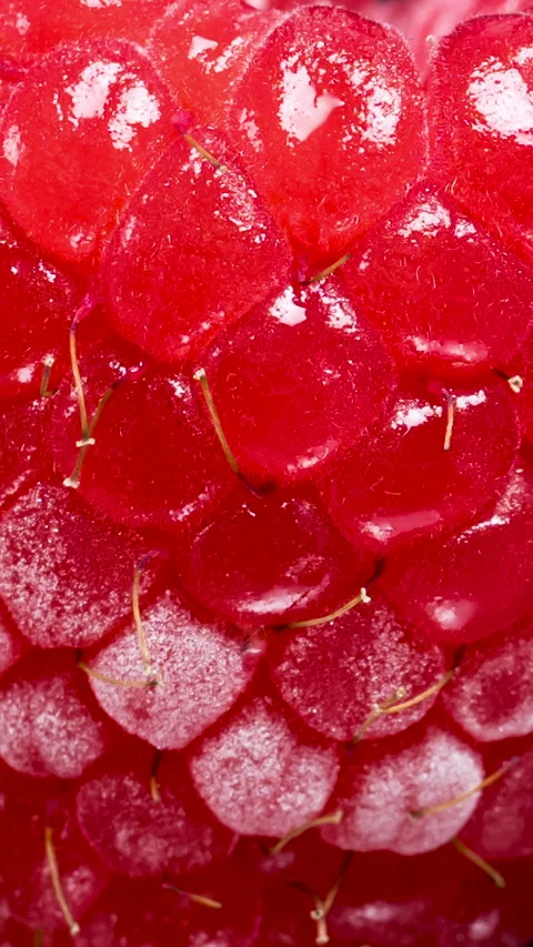 Vertical video. Macro texture of frozen raspberries thawing rapidly. Stock Footage 270423907
