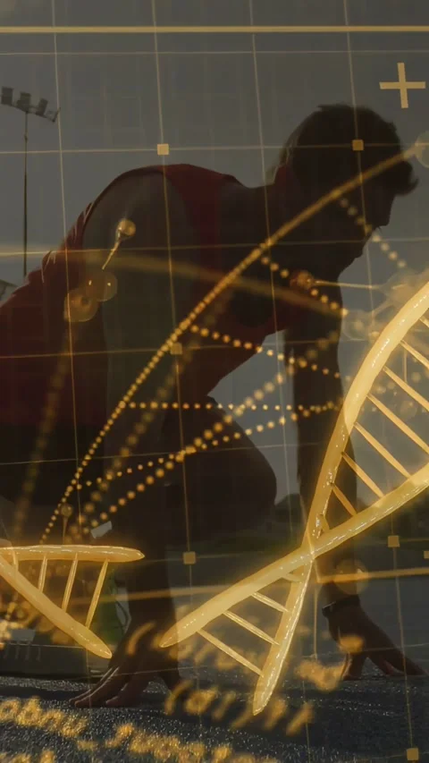 Vertical video: Male runner lowering into start, golden DNA helix mapping over Stock Footage 331431605