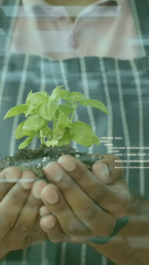 Vertical video: Man bringing seedling, holding while binary UI rising over plant Stock Footage 335513990