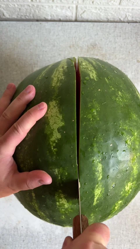 Vertical video. Man cuts green fresh juicy raw sweet sugar watermelon close up Stock Footage 284440277