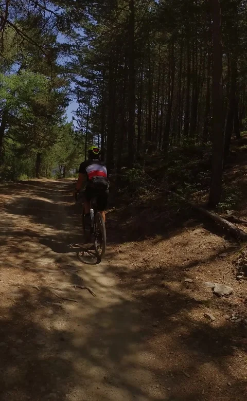 Vertical video of a man cyclist in a forest with a gravel bike Stock Footage 277071344
