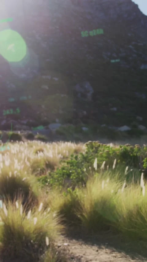 Vertical video: Man entering right, running down trail, green marks marking Stock Footage 333528237