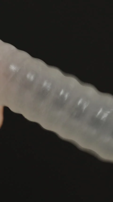 Vertical video. A Man Playing by Inflating a Condom Like a Balloon Against a Stock Footage 301040568
