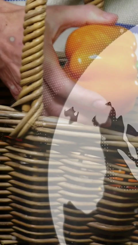 Vertical video: Man receiving pepper from hand, placing in basket, globe overlay Stock Footage 328398817