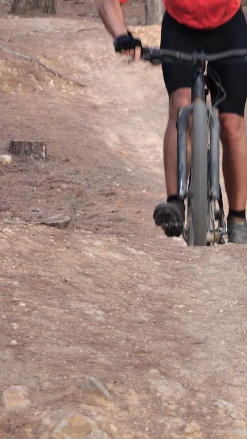 Vertical video. Man riding mtb mountain bike through forest Stock Footage 247760748