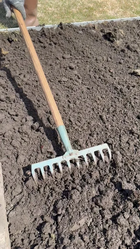 Vertical video of a man in rubber boots leveling the dug soil with a rake Stock Footage 308294237