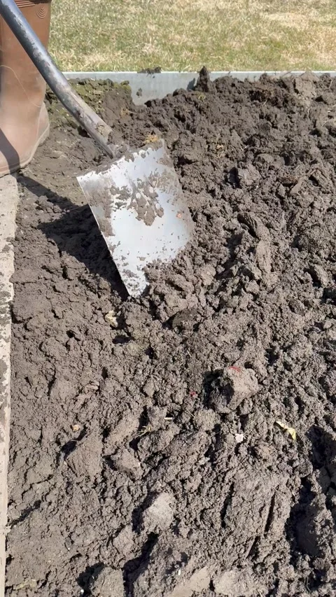 Vertical video of man in rubber boots digging soil in garden bed with a shovel Stock Footage 308294241
