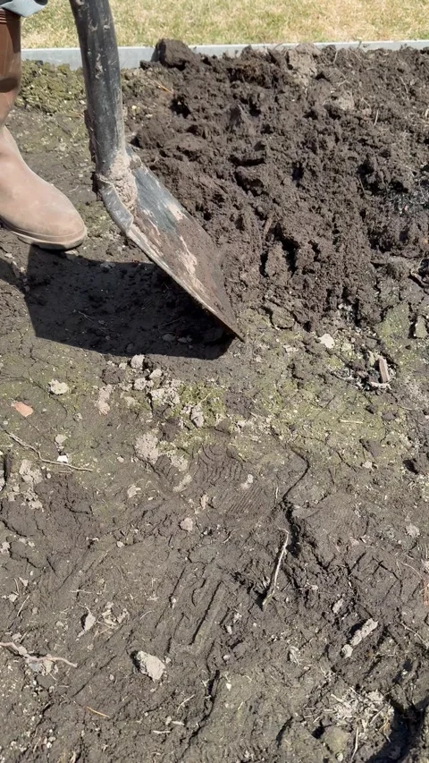 Vertical video of a man in rubber boots digs the soil with a shovel Stock Footage 308294291