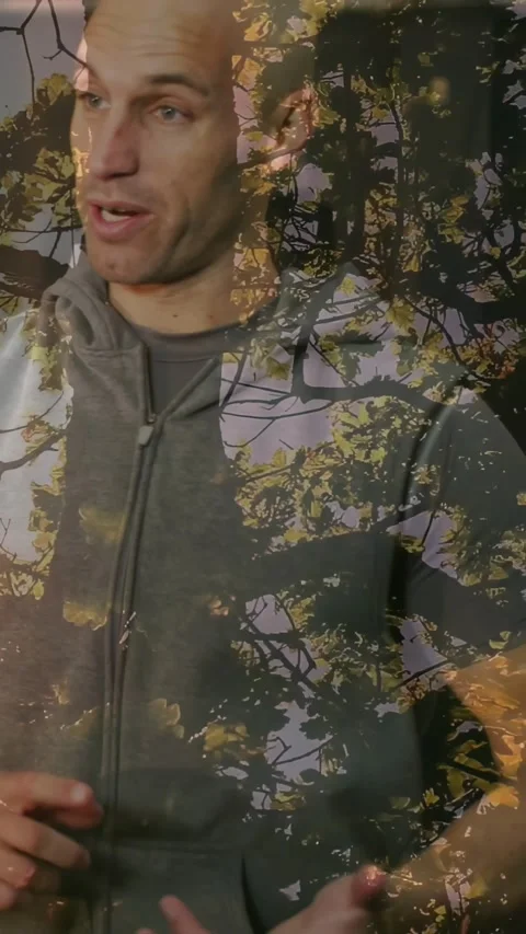 Vertical video: Man starting talk, sharing and gesturing small-to-wide, leaf Stock Footage 331047147