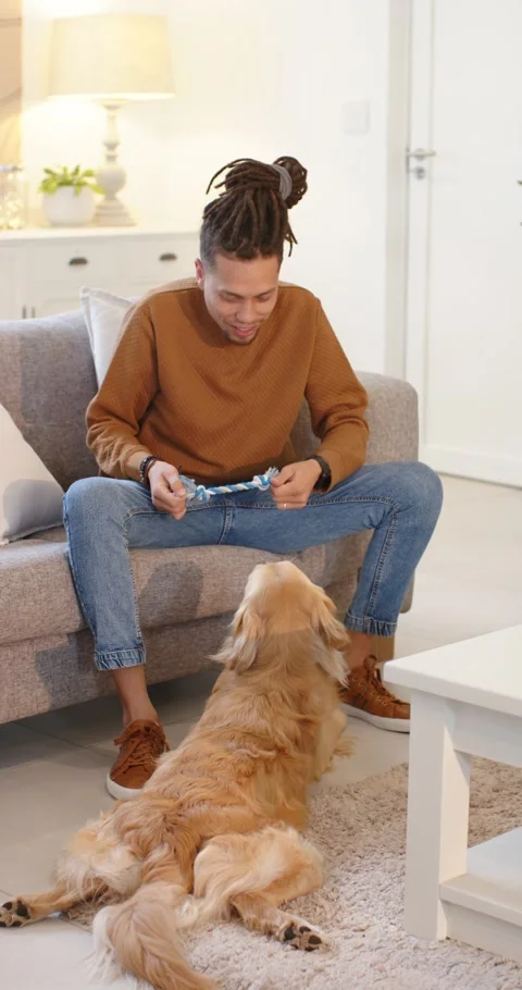 Vertical video: Man stroking dog then pulling rope toy to initiate tug-of-war Stock Footage 345395505