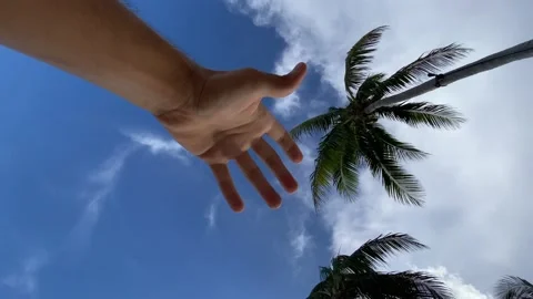 Vertical video of mans hand against palms and blue sky Video stock 172441401