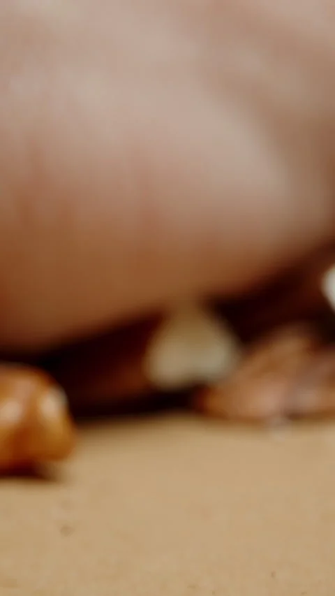 Vertical video. A man's hand props up and spills pecan nuts onto the table. Macr Stock Footage 267187430