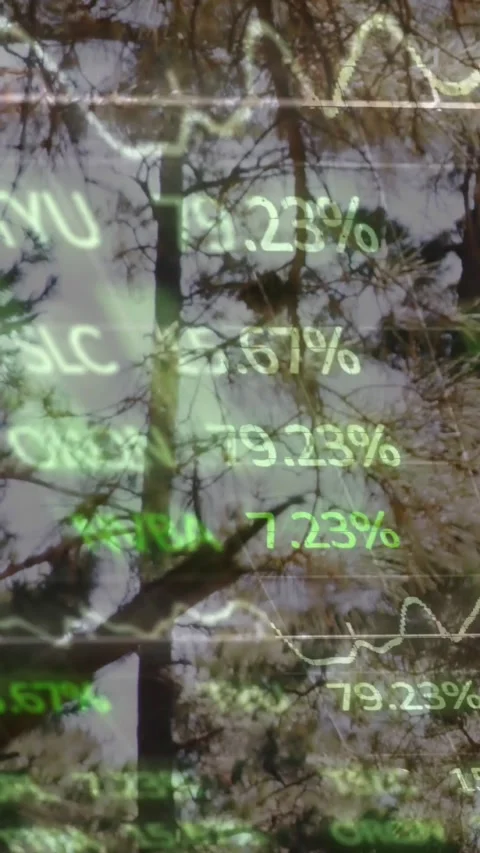 Vertical video: market-data overlay appearing over pine tree shifting percent Stock Footage 329913365