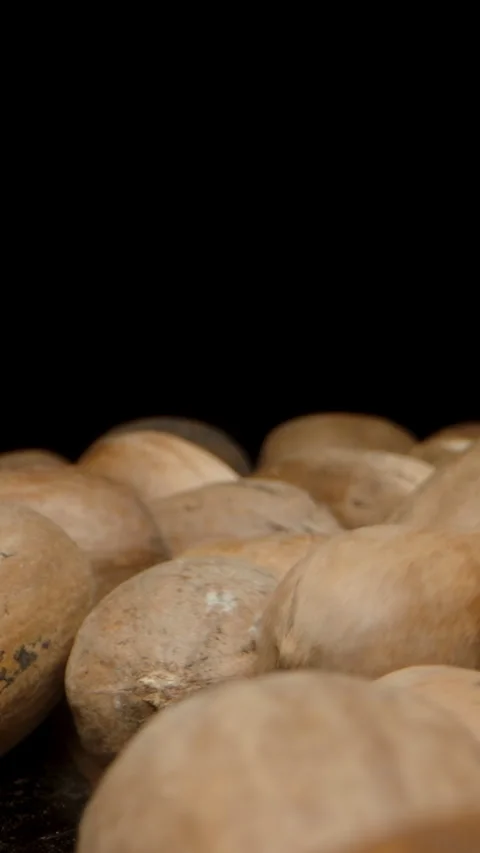 Vertical video. Men's Hands Sorting Pecan Nuts in Shells, Macro Dolly on a Black Stock Footage 267129309