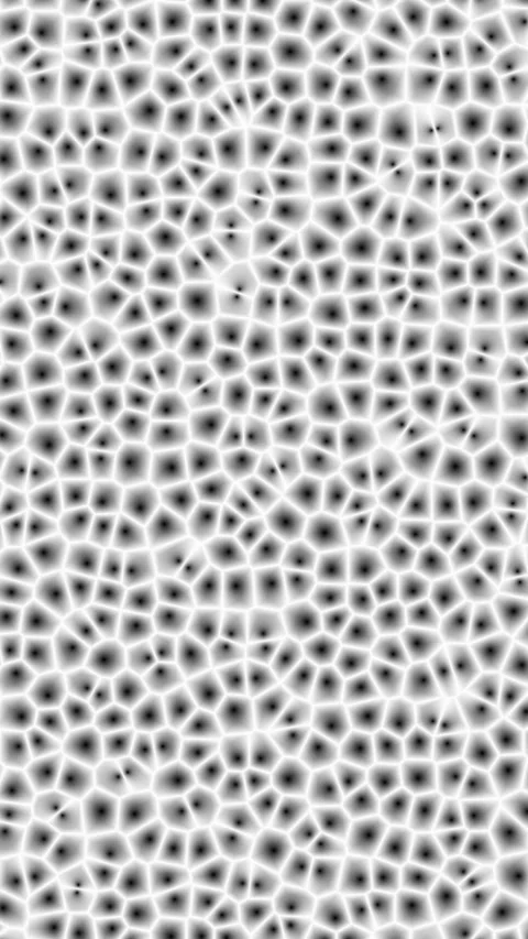 Vertical Video of Microscopic Bacteria Cells on Black Background, Seamless Loop Stock Footage 344329681