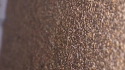 Vertical video. Mill complex. Industrial processing of wheat grains. Video stock 274064295