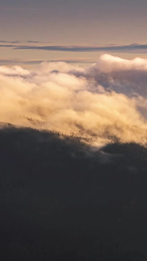Vertical video of misty clouds motion fast over forest mountains nature at Stock Footage 258572266