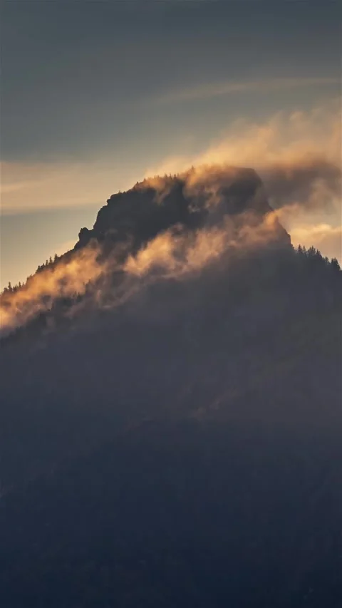 Vertical video of Misty forest mountains with fast motion cloud in alps nature Stock Footage 259906977