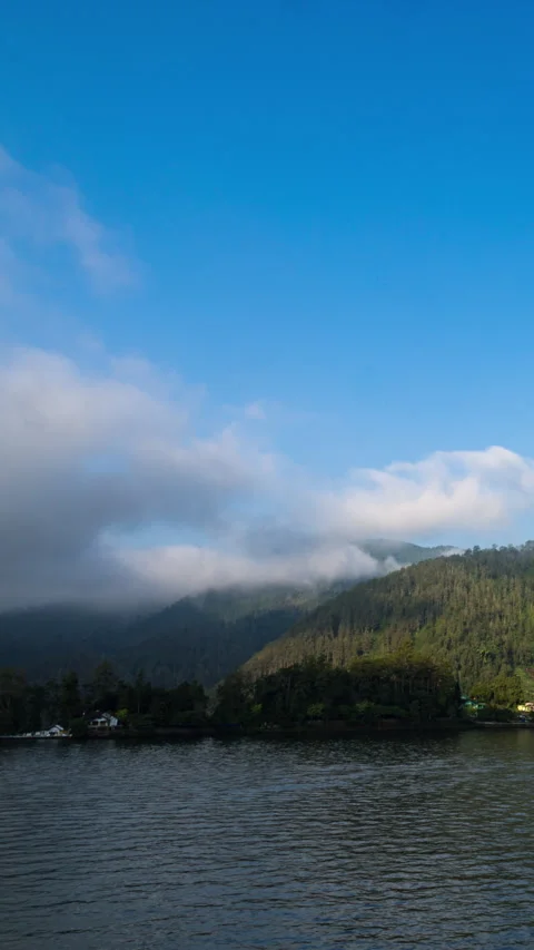 Vertical video - Misty Hills Timelapse Stock Footage 280690889
