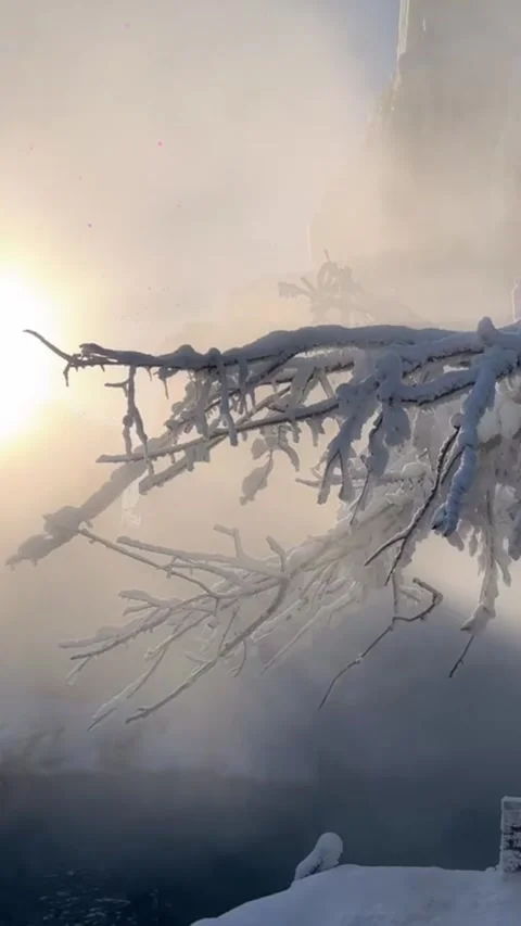 Vertical Video of Misty River and Rime Ice Trees in Winter China Video stock 328385684