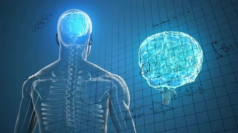 Vertical video: Model turning showing spine as arrow linking skull to hologram, Stock Footage 330463415