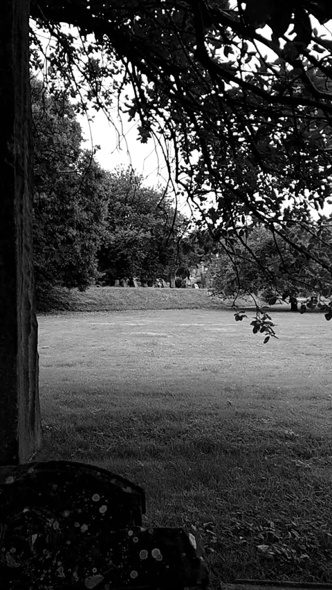 Vertical Video. Monochrome. View of field in a necropolis. Video stock 160126706