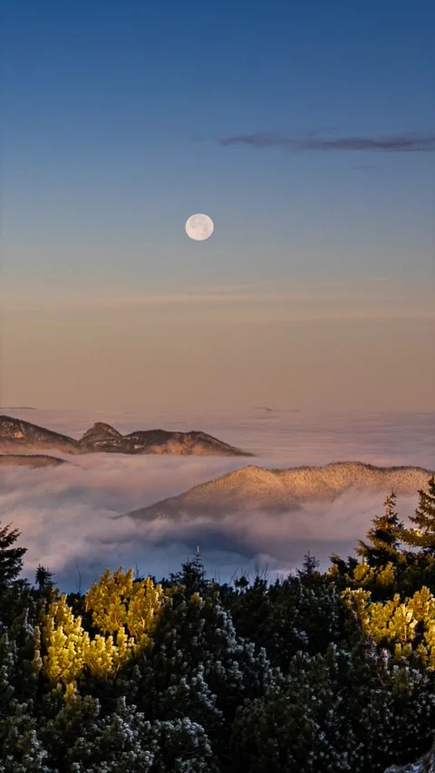 Vertical video of moon setting down over foggy nature landscape at sunrise 스톡 동영상 293715761