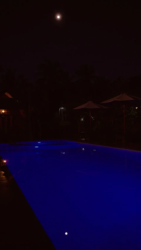Vertical video. Moonlight Shines Above a Tropical Swimming Pool at Night Creatin Stock Footage 336555548