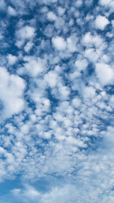 Vertical video - Morning Cloud Timelapse Stock Footage 280153453