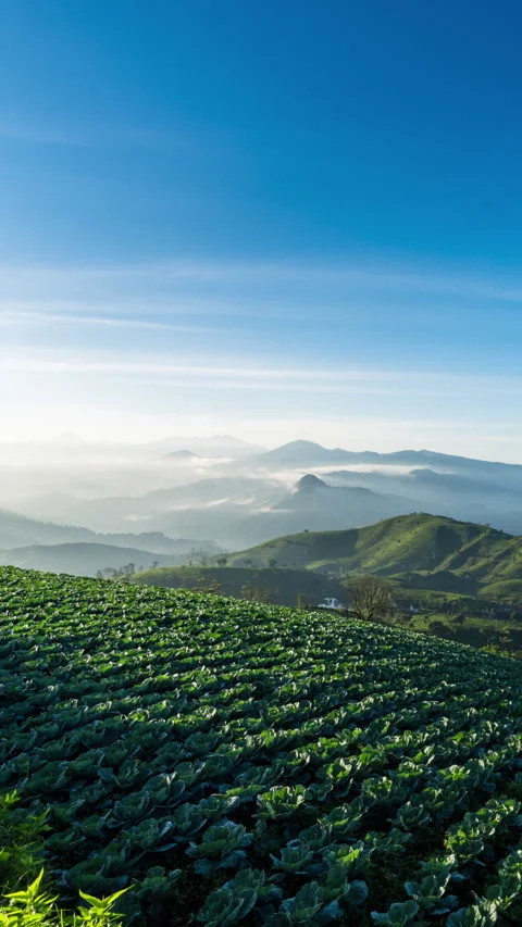 Vertical video - Mountain Day Timelapse Stock-Footage 280380467