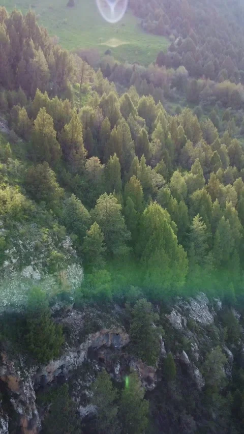 Vertical video: Mountain Forest Road with Bright Sun Flare Aerial Forward Video stock 332205336