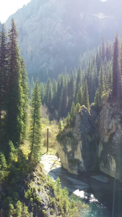 Vertical video: Mountain Gorge and Sunken Forest Lake Forward Flight Video stock 332216922