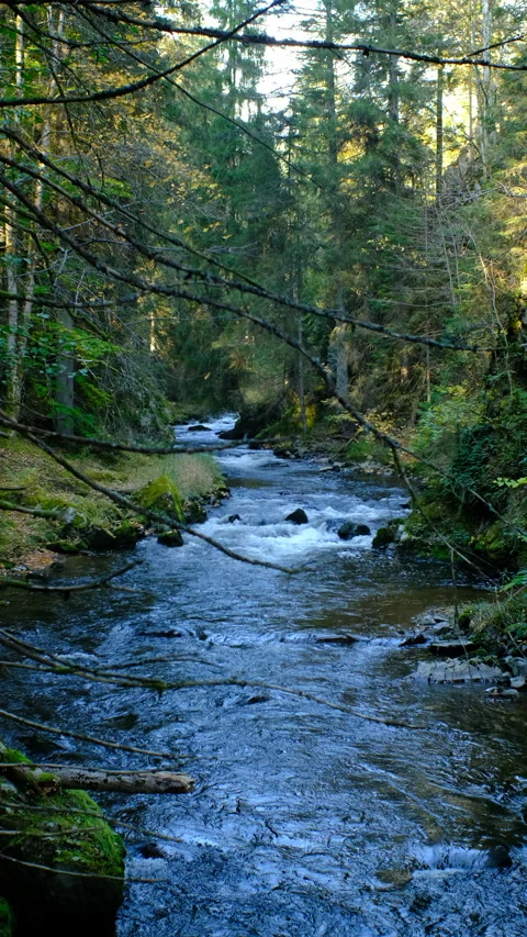 Vertical video of mountain river flowing through rocky gorge Stock Footage 319129434