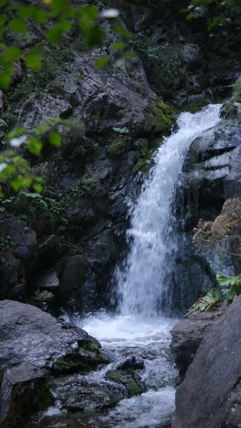 Vertical video. A mountain river with rapids flows. Wet rocks, splashes and foam Stock Footage 162156398
