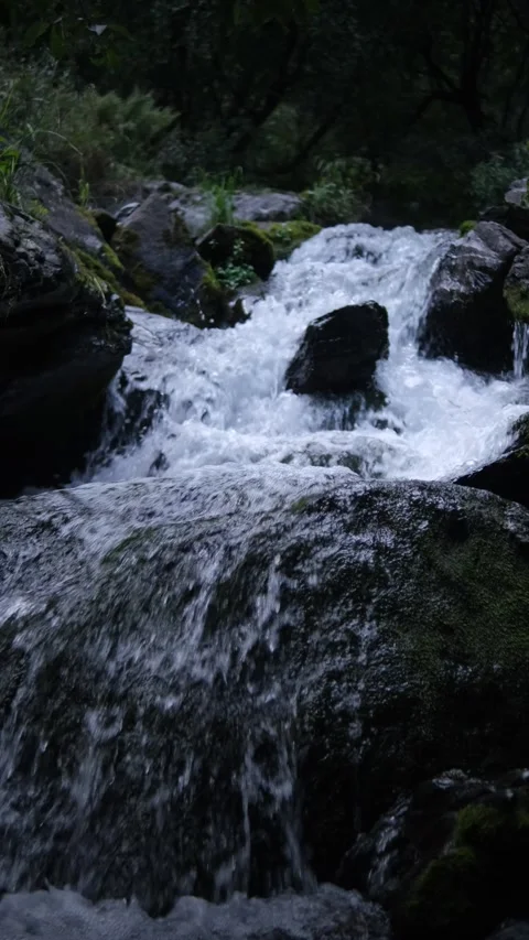 Vertical video. A mountain river with rapids flows. Wet rocks, splashes and foam Stock-Footage 162156602