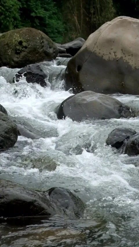Vertical video of mountain river water flowing fast past rocks Video stock 306762849
