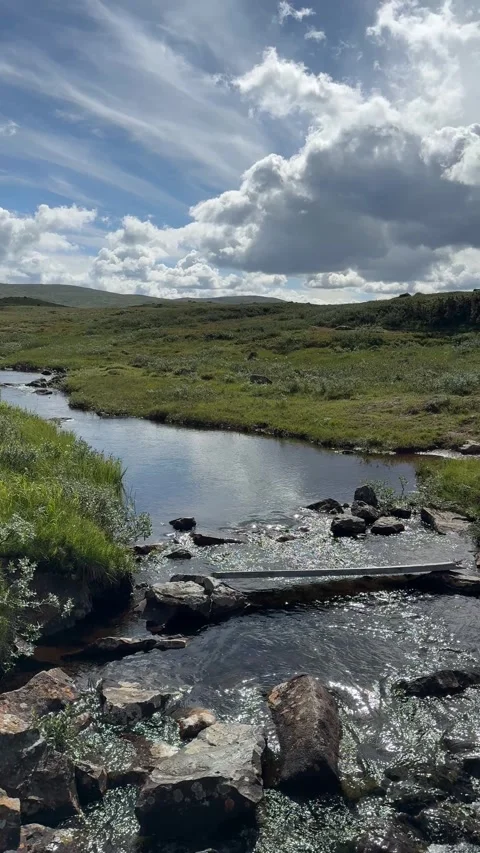 Vertical video of mountain stream flowing between rocks and grassy hills Stock Footage 315358550