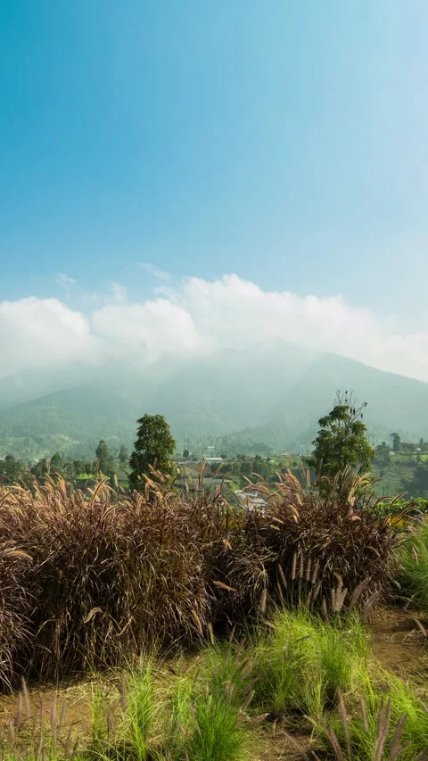 Vertical video - Mountain Timelapse Stock Footage 317102300