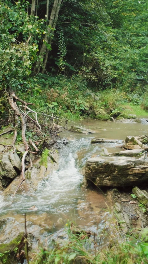 Vertical video of mountain water stream or river runs down hill in early autumn Stock Footage 285408850